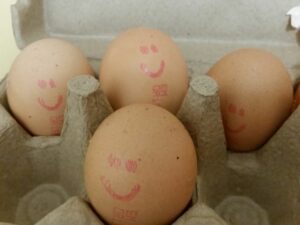 emoties in gesprekken, emoties op het werk, effectiever communiceren, effectief communiceren