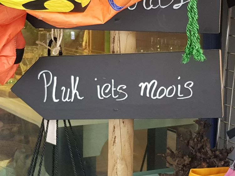 leidinggeven, doelgericht leidinggeven, leidinggevende