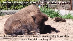 zaken minder persoonlijk nemen zonder onverschillig worden als je het gevoel hebt persoonlijk aangevallen te voelen