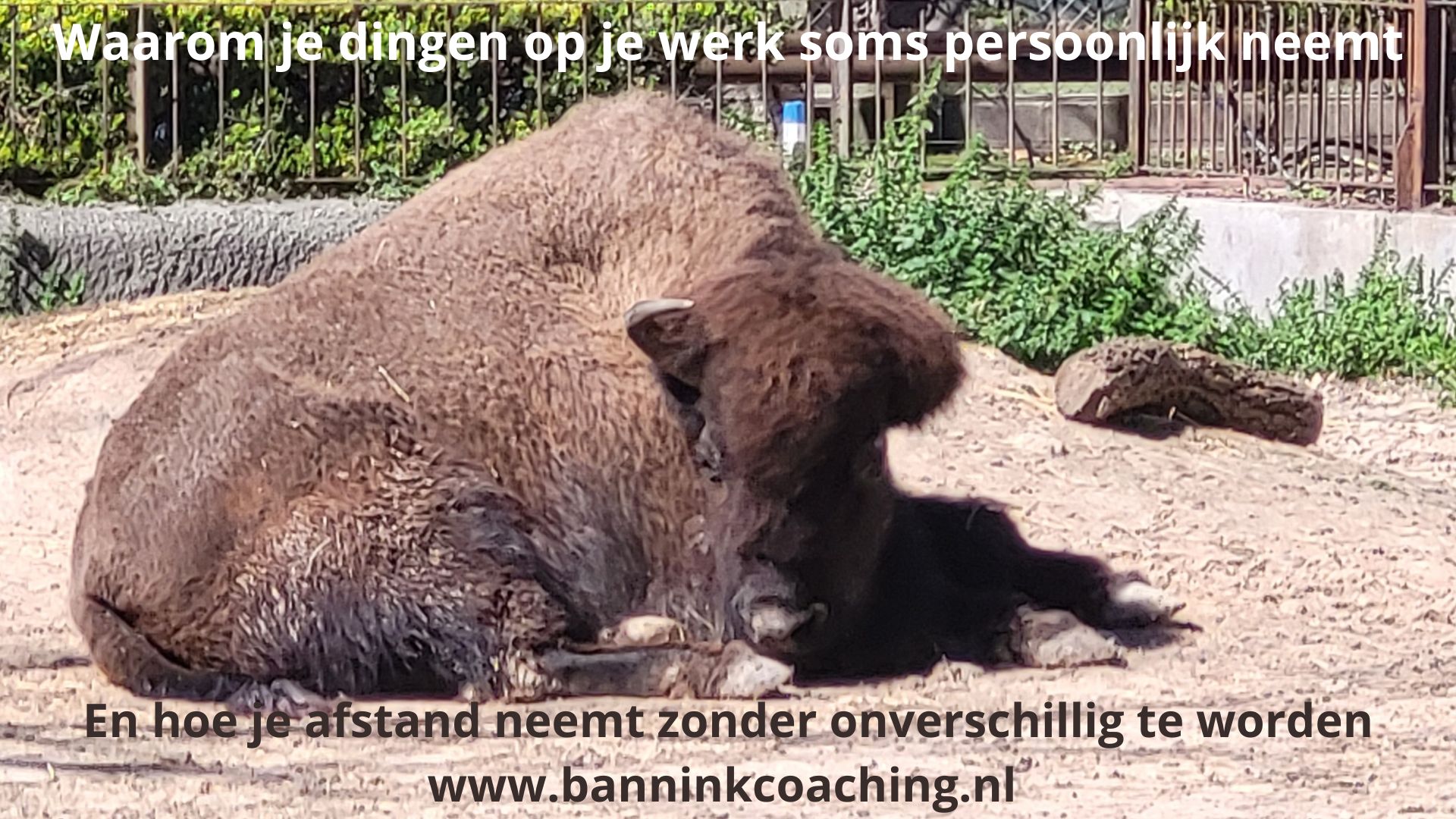 zaken minder persoonlijk nemen zonder onverschillig worden als je het gevoel hebt persoonlijk aangevallen te voelen